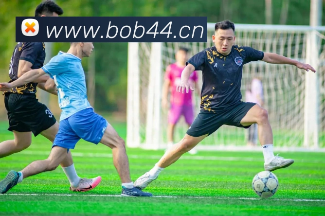 bob半岛官方网站APP 封面图